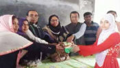 শার্শা উপজেলায় বিভিন্ন শিক্ষা প্রতিষ্ঠানের ছাত্রীর মাঝে উপহার সামগ্রী  বিতরণ