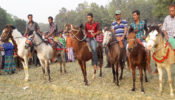 বসন্ত মেলায় ঘোড়া দৌড়ের প্রতিযোগিতা