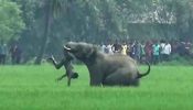 চট্টগ্রামে হাতির আক্রমণে ৩ জন নিহত, আতঙ্কে মানুষ