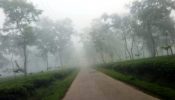 শ্রীমঙ্গলে দেশের সর্বনিম্ন তাপমাত্রা ৬ ডিগ্রি সেলসিয়াস